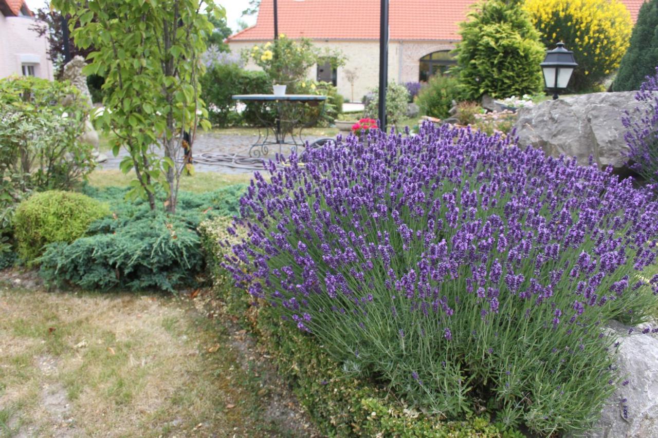 Au Grand Saule Villa Les Attaques Bilik gambar